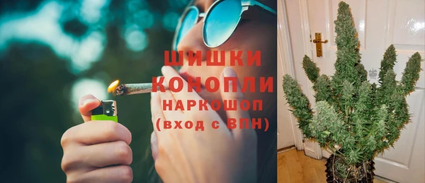 бошки Белокуриха