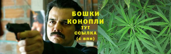 бошки Белокуриха
