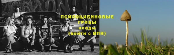 бошки Белокуриха