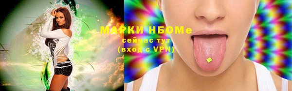 бошки Белокуриха