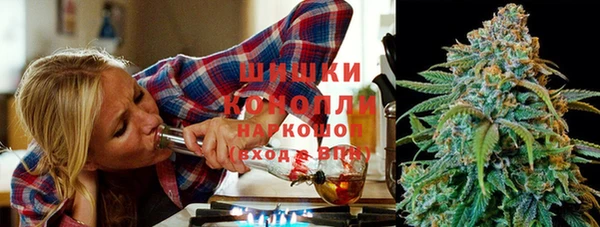 бошки Белокуриха