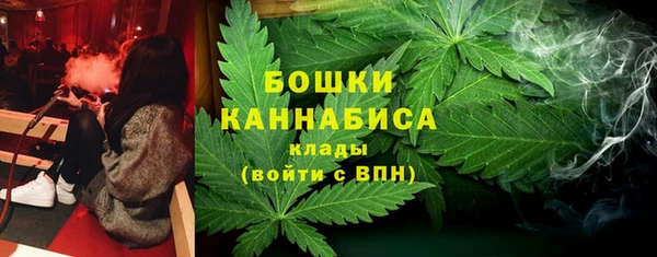 бошки Белокуриха