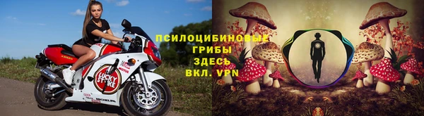 сатива Жердевка