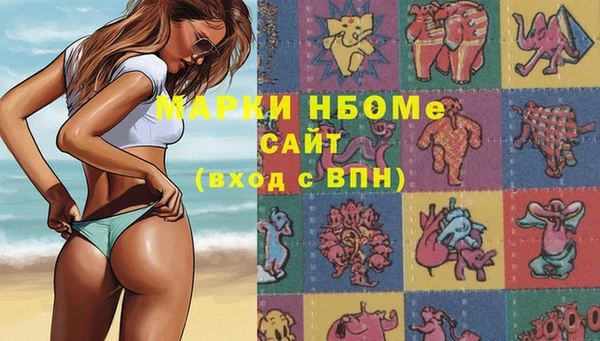 бошки Белокуриха