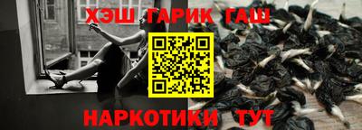 СК Гай