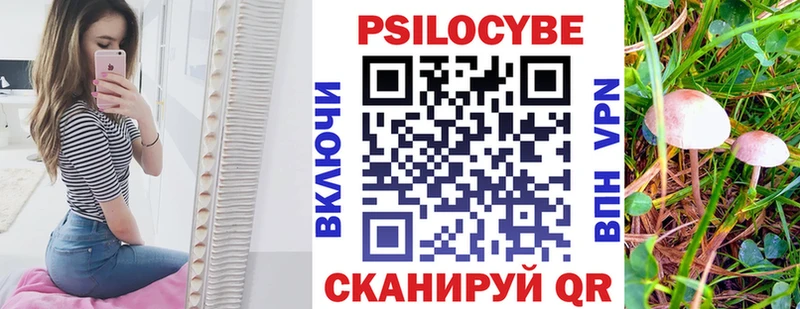 где найти   Кузнецк  Галлюциногенные грибы Psilocybe 
