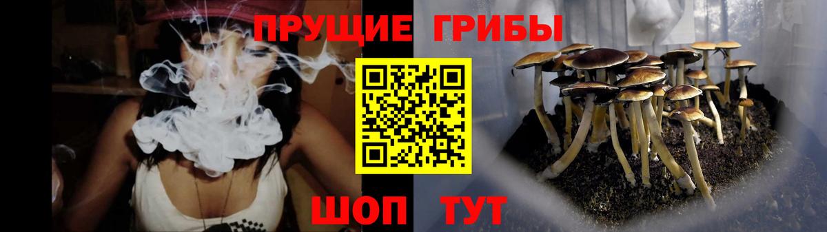 Кузнецк  Псилоцибиновые грибы Psilocybe  Галлюциногенные грибы Cubensis  Вход с VPN 