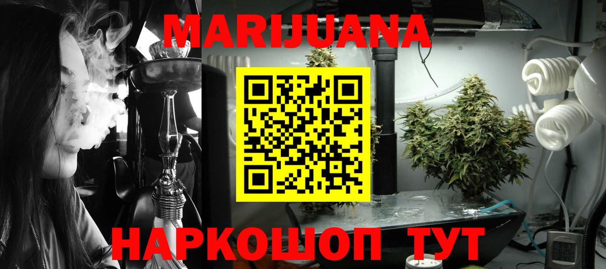 Конопля гибрид Кузнецк